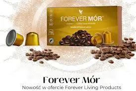 Forever Mor 2